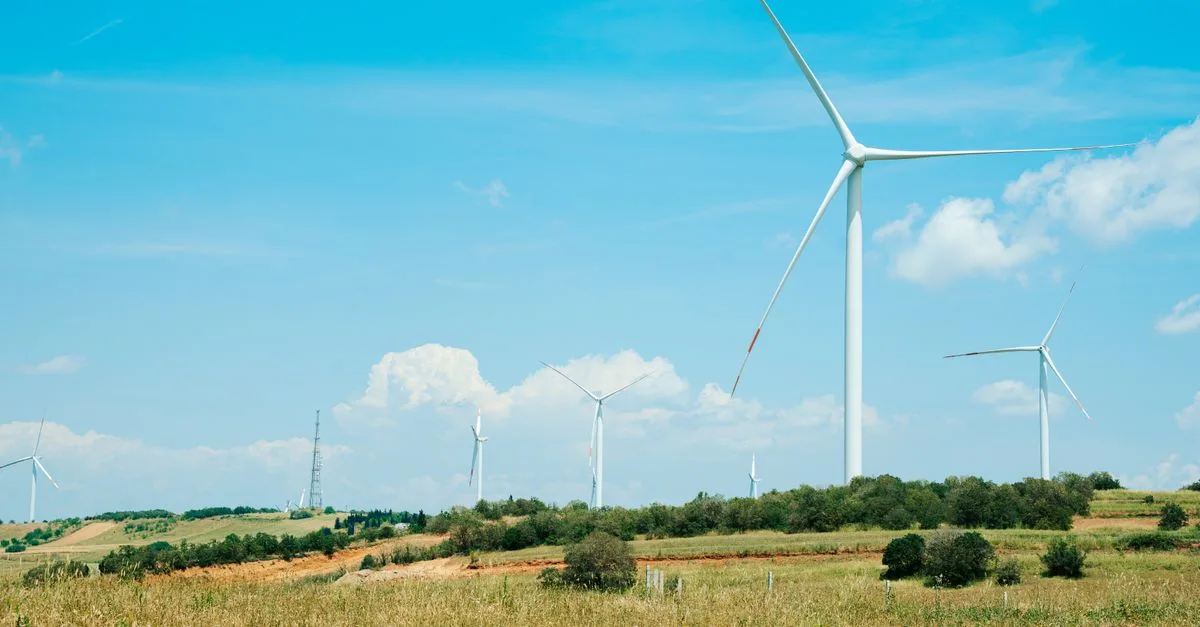 découvrez les réglementations environnementales essentielles pour protéger notre planète et assurer un développement durable.