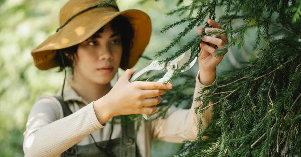 découvrez des conseils pratiques et efficaces pour tailler vos plantes et favoriser une croissance saine et harmonieuse.